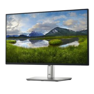 DELLMonitor