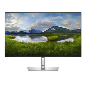 DELLMonitor