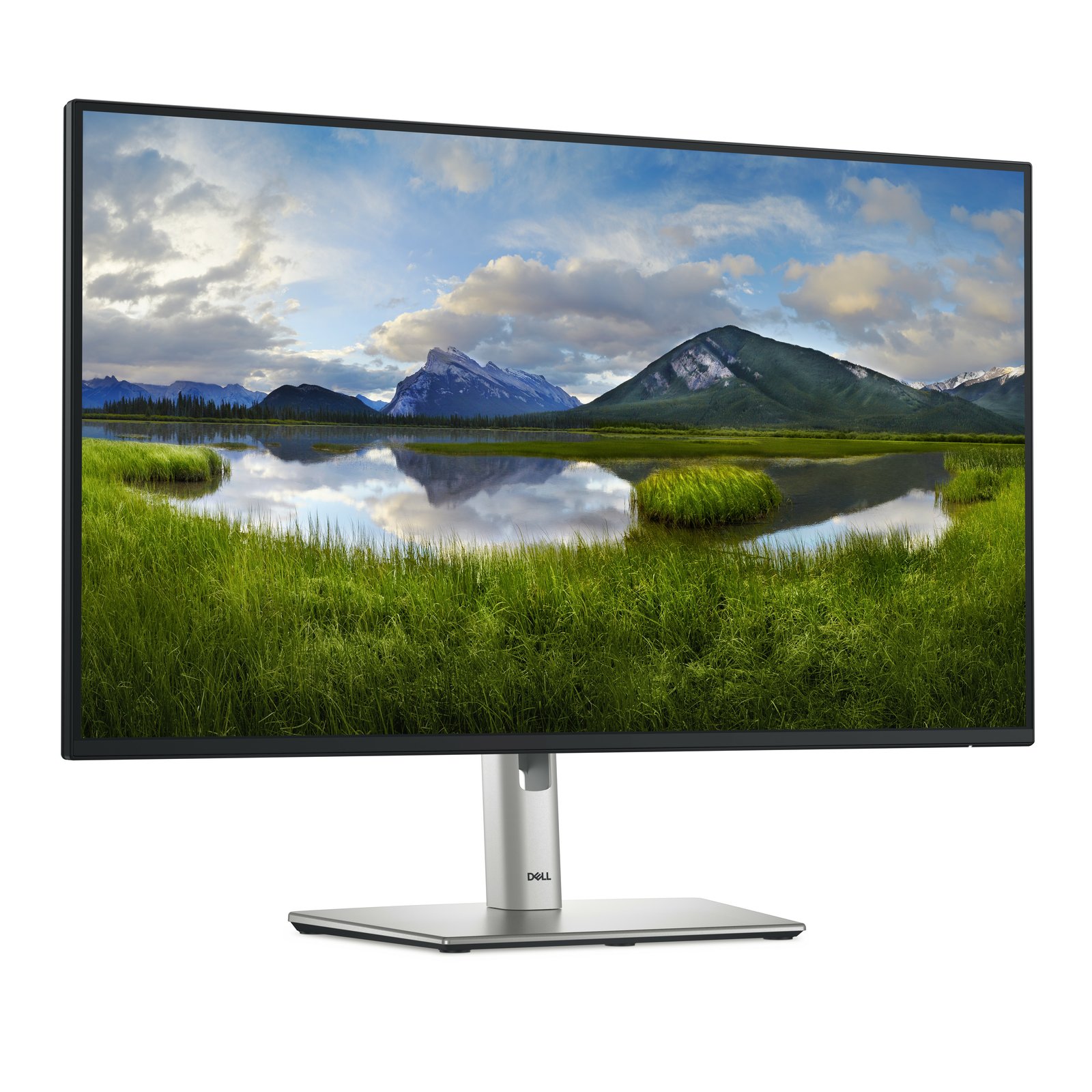 DELLMonitor - Image 3