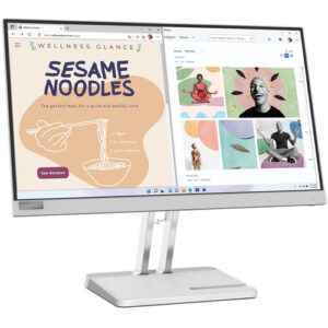 Lenovo L22E-40 Monitor