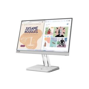Lenovo L22E-40 Monitor